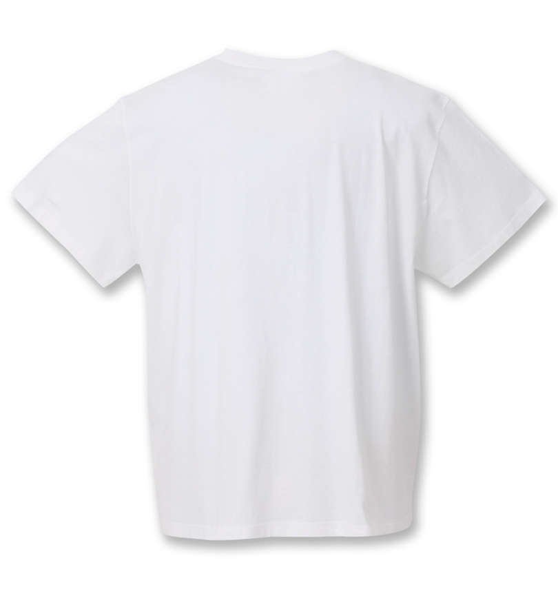 大きいサイズ メンズ DICKIES (ディッキーズ) ポケット付き半袖Tシャツ バックスタイル
