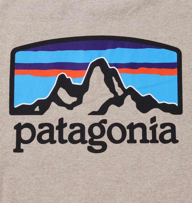 大きいサイズ メンズ PATAGONIA (パタゴニア) 半袖Tシャツ プリント拡大