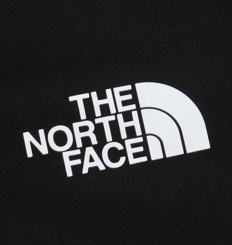 大きいサイズ メンズ THE NORTH FACE (ザ・ノース・フェイス) ボンディングジャケット 胸・バックプリント