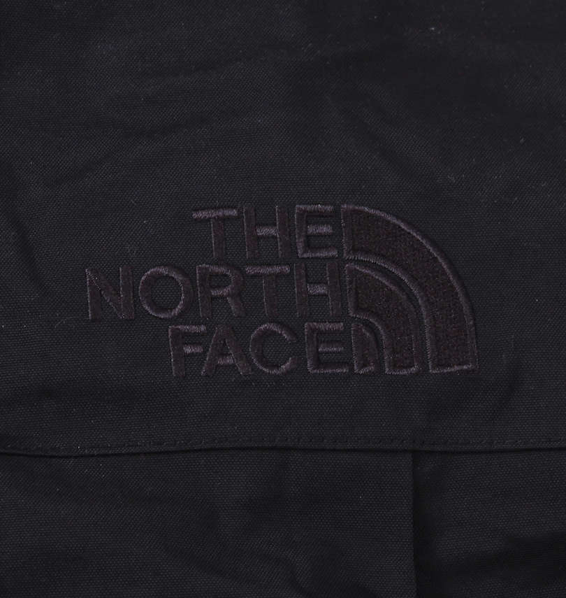 大きいサイズ メンズ THE NORTH FACE (ザ・ノース・フェイス) TAEエクスペディションパーカジャケット 刺繍拡大