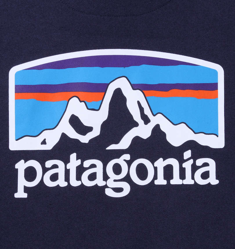 大きいサイズ メンズ PATAGONIA (パタゴニア) プルパーカー プリント拡大