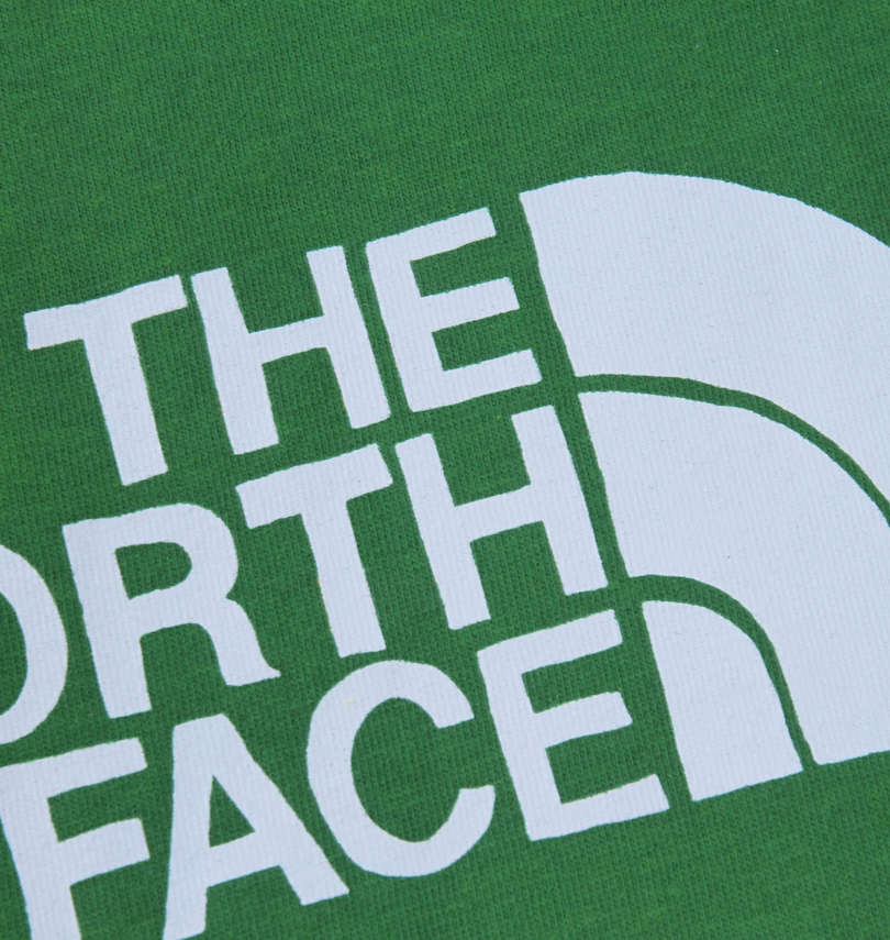 大きいサイズ メンズ THE NORTH FACE (ザ・ノース・フェイス) 半袖Tシャツ プリント拡大