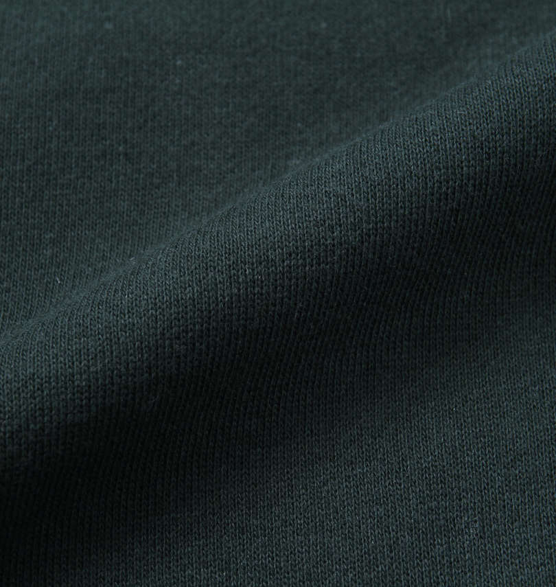 大きいサイズ メンズ KANGOL (カンゴール) 裏起毛プルパーカー
                        生地拡大