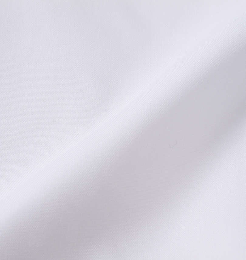 大きいサイズ メンズ MANCHES COLLECTION (マンチェス) レギュラーカラー長袖シャツ 生地拡大