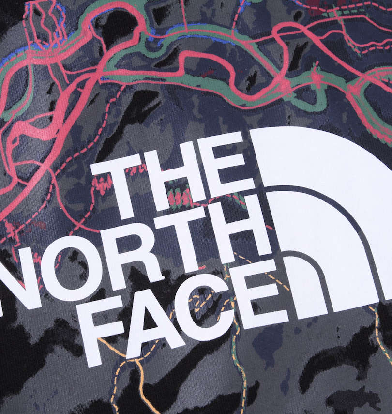 大きいサイズ メンズ THE NORTH FACE (ザ・ノース・フェイス) プルパーカー バックプリント拡大