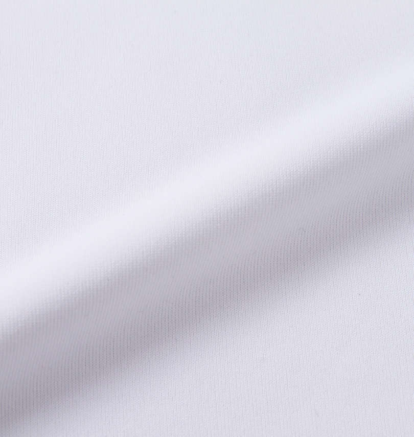 大きいサイズ メンズ patagonia (パタゴニア) 半袖Tシャツ
                        生地拡大