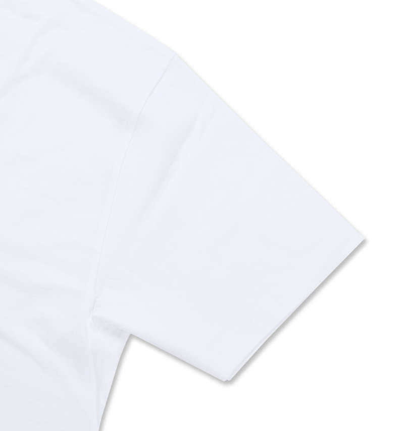 大きいサイズ メンズ Levi's® (リーバイス) 2Pクルーネック半袖Tシャツ【品切れ部分入荷待ち】 