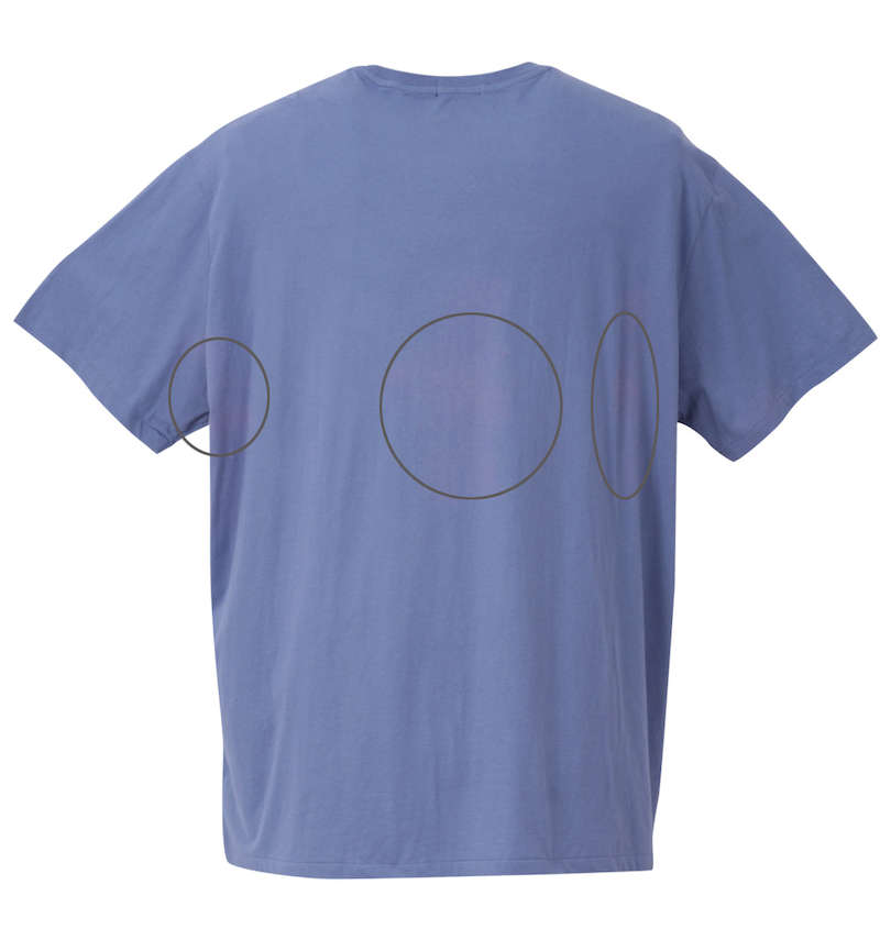 大きいサイズ メンズ RALPH LAUREN (ラルフローレン) 半袖Tシャツ キズの画像
