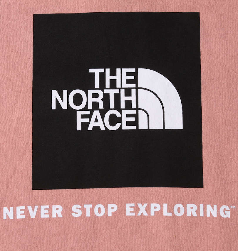 大きいサイズ メンズ THE NORTH FACE (ザ・ノース・フェイス) プルパーカー バックプリント