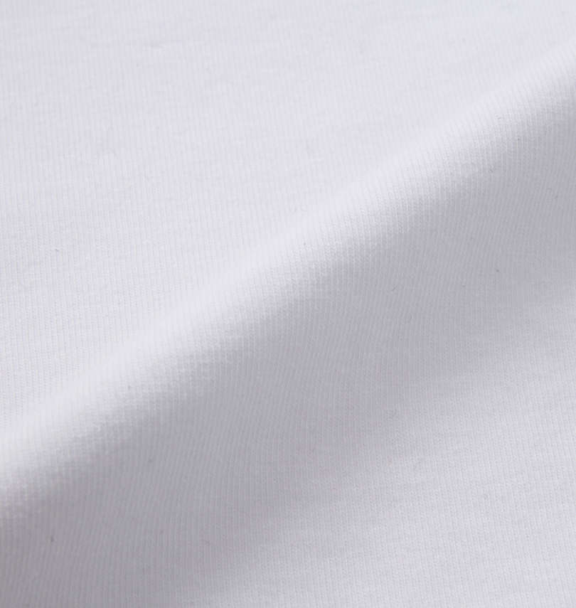 大きいサイズ メンズ GLADIATE (グラディエイト) ベア天竺ALL刺繍半袖VTシャツ 生地拡大