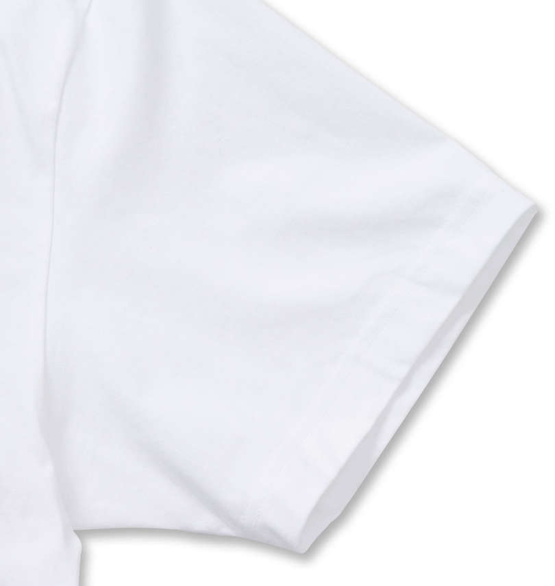 大きいサイズ メンズ Levi's® (リーバイス) 2P Vネック半袖Tシャツ 袖口