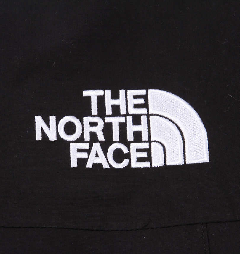 大きいサイズ メンズ THE NORTH FACE (ザ・ノース・フェイス) ダウンジャケット 刺繍拡大