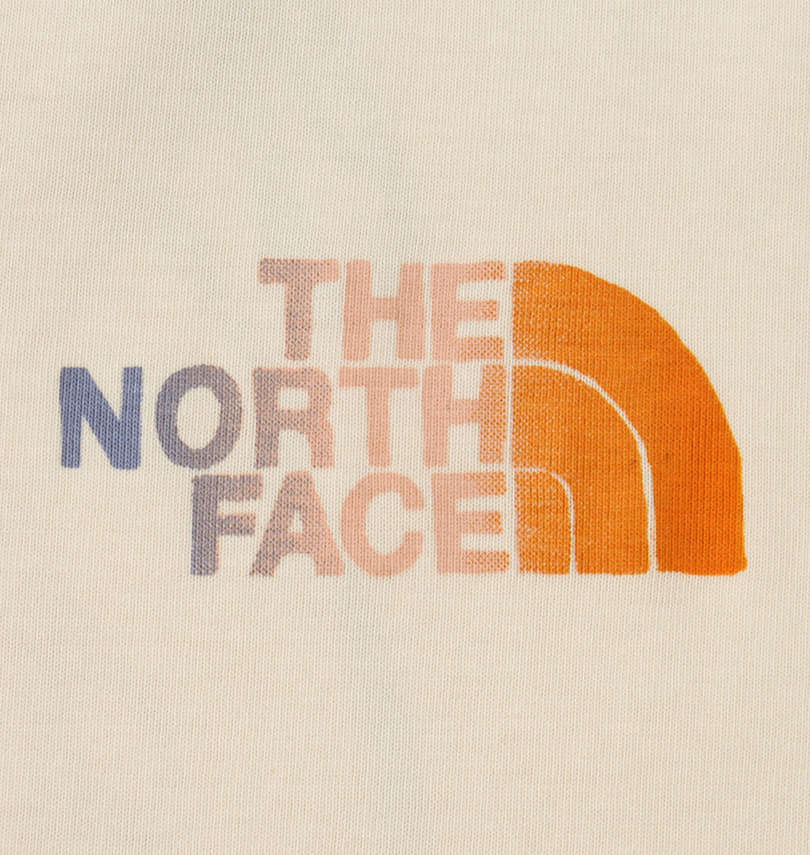 大きいサイズ メンズ THE NORTH FACE (ザ・ノース・フェイス) 半袖Tシャツ フロントプリント拡大