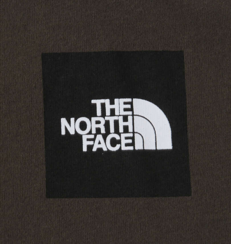 大きいサイズ メンズ THE NORTH FACE (ザ・ノース・フェイス) 半袖Tシャツ 胸プリント