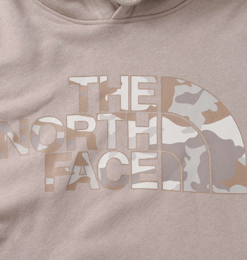大きいサイズ メンズ THE NORTH FACE (ザ・ノース・フェイス) プルパーカー 