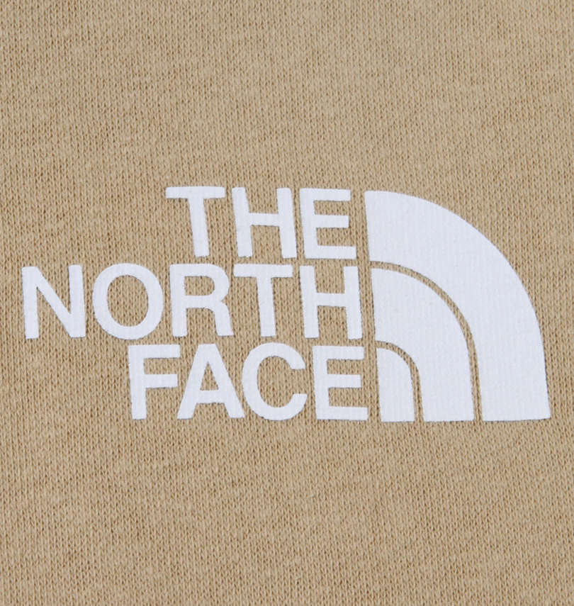 大きいサイズ メンズ THE NORTH FACE (ザ・ノース・フェイス) プルパーカー プリント