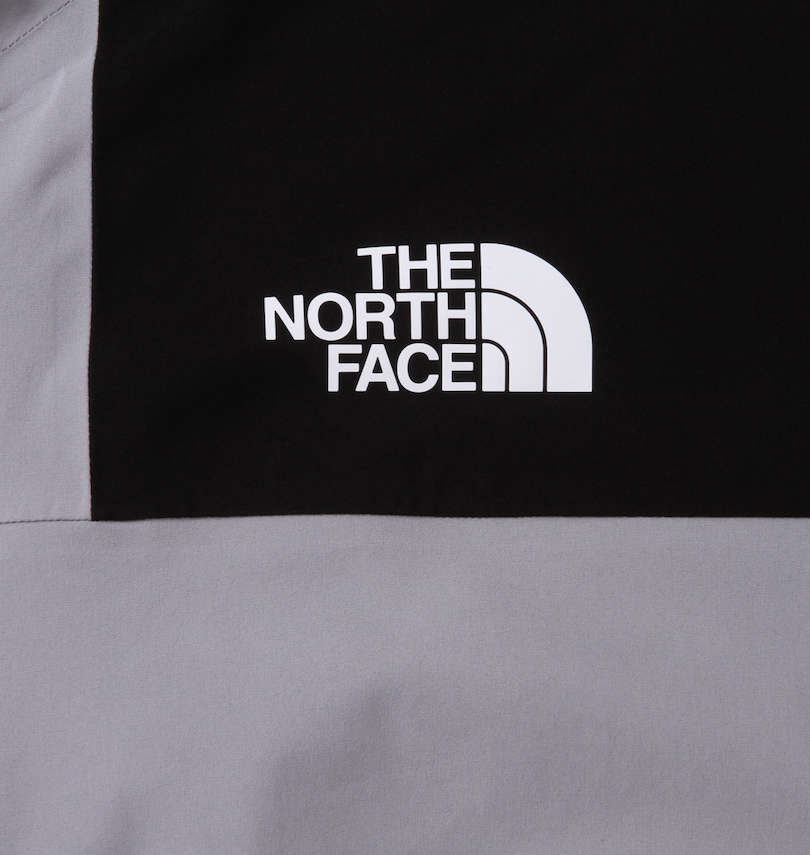 大きいサイズ メンズ THE NORTH FACE (ザ・ノース・フェイス) アクティブジャケット プリント