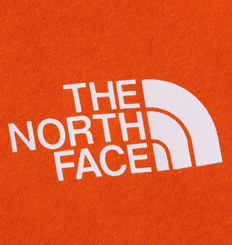 大きいサイズ メンズ THE NORTH FACE (ザ・ノース・フェイス) プルパーカー 胸プリント