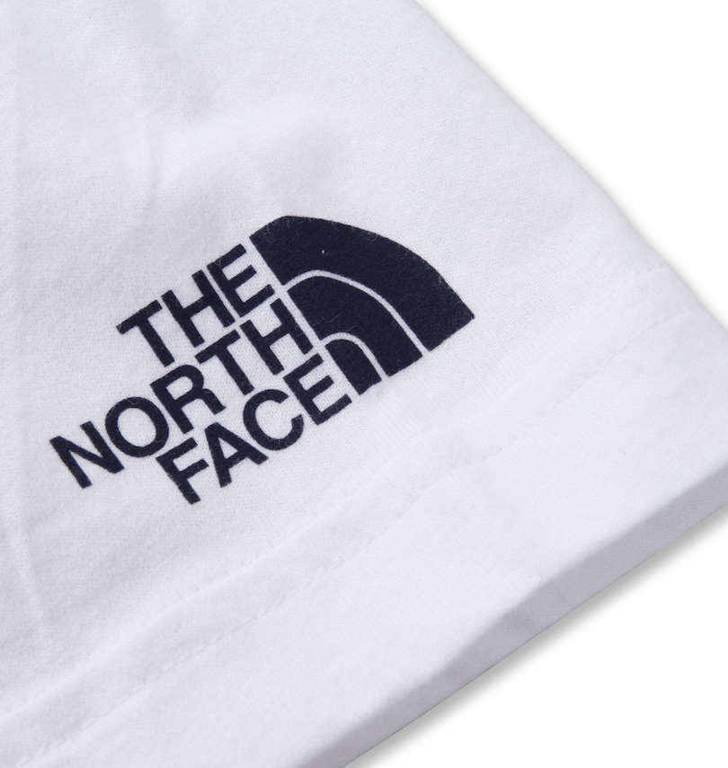 大きいサイズ メンズ THE NORTH FACE (ザ・ノース・フェイス) 半袖Tシャツ 袖プリント