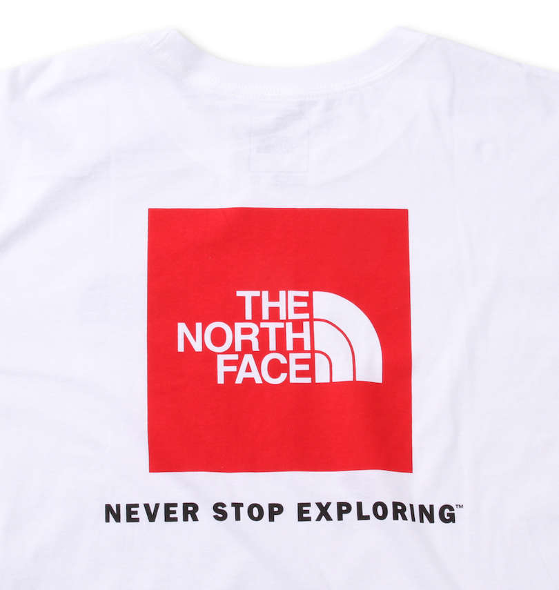 大きいサイズ メンズ THE NORTH FACE (ザ・ノース・フェイス) 長袖Tシャツ バックプリント