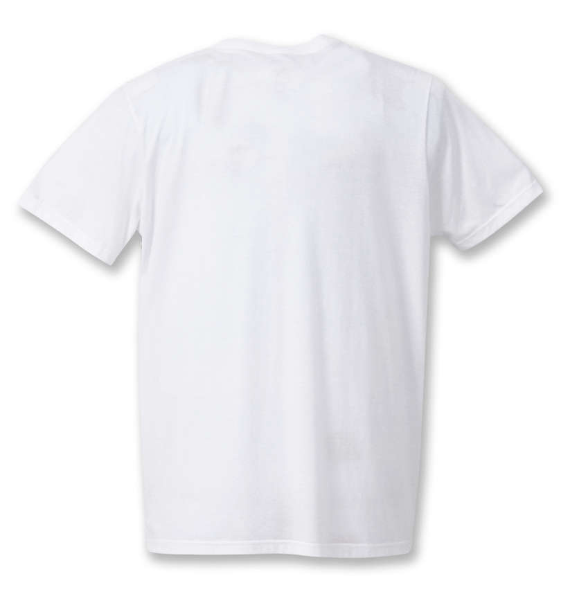 大きいサイズ メンズ THE NORTH FACE (ザ・ノース・フェイス) 半袖Tシャツ バックスタイル