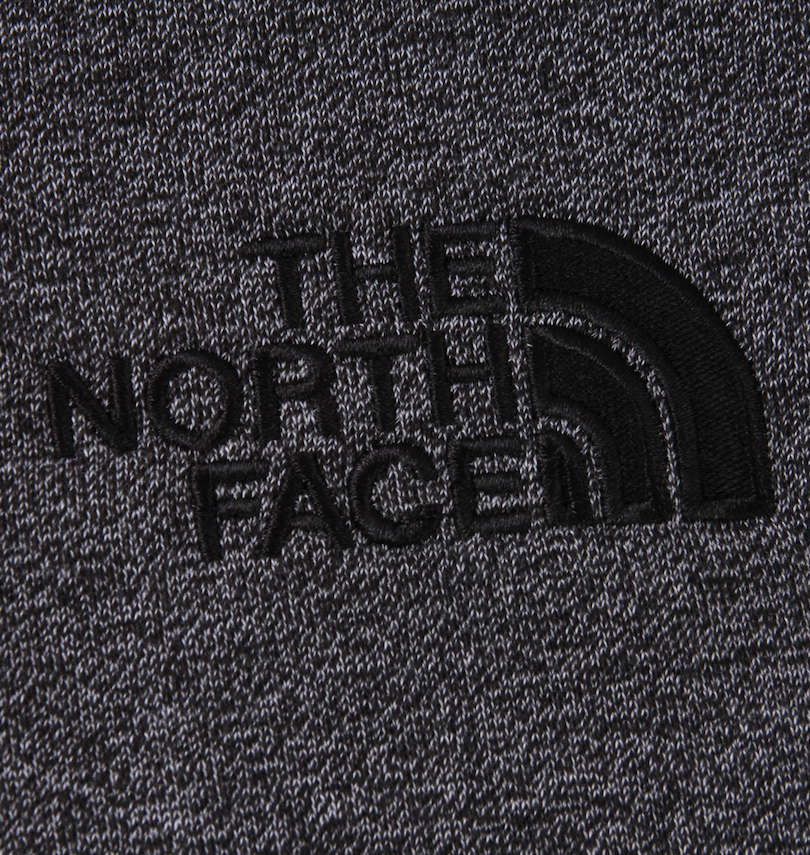 大きいサイズ メンズ THE NORTH FACE (ザ・ノース・フェイス) プルパーカー 刺繡