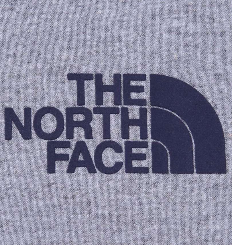 大きいサイズ メンズ THE NORTH FACE (ザ・ノース・フェイス) プルパーカー プリント拡大