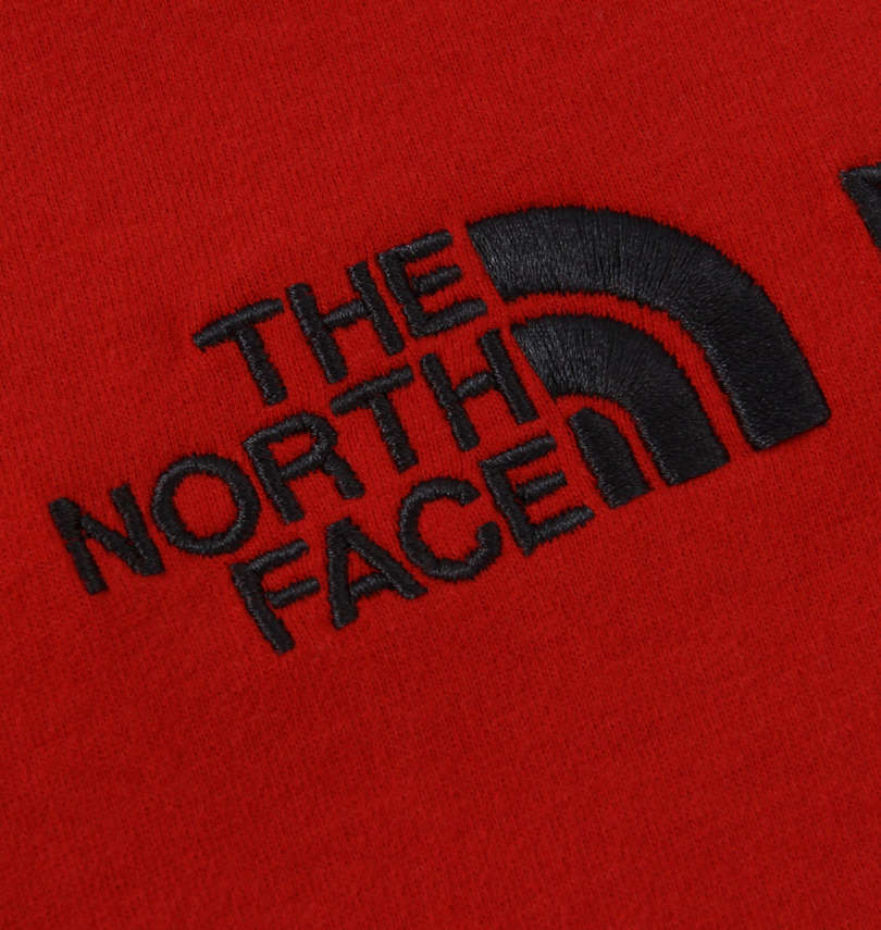 大きいサイズ メンズ THE NORTH FACE (ザ・ノース・フェイス) 半袖Tシャツ 刺繍拡大