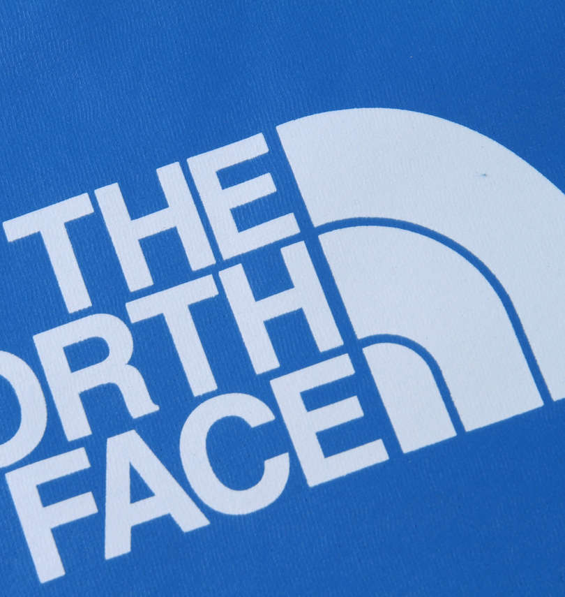 大きいサイズ メンズ THE NORTH FACE (ザ・ノース・フェイス) クルートレーナー バックプリント拡大
