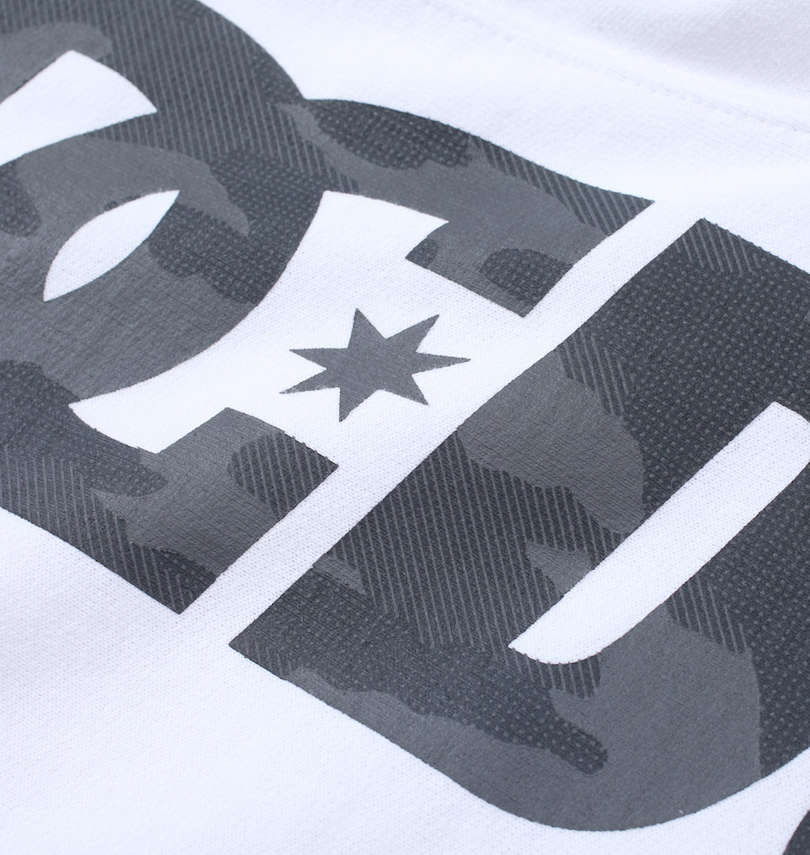 大きいサイズ メンズ DCSHOES (ディーシーシューズ) 22ST VERTICALプルパーカー
プリント拡大