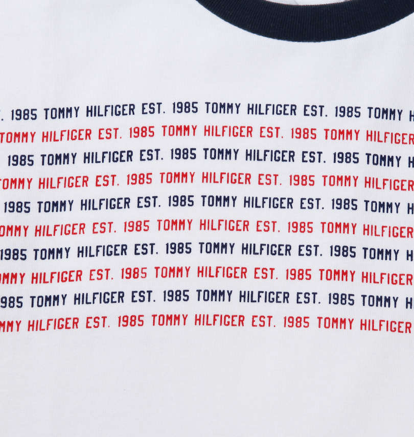 大きいサイズ メンズ TOMMY HILFIGER (トミーヒルフィガー) 半袖Tシャツ 胸元プリント