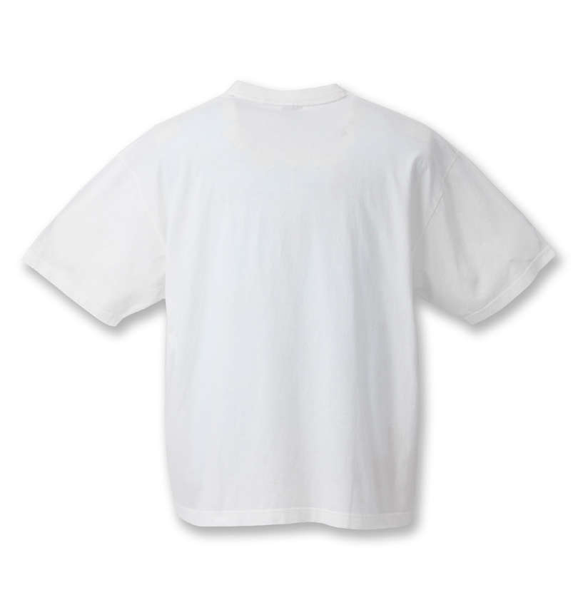 大きいサイズ メンズ ALPHA INDUSTRIES (アルファ インダストリーズ) Aマークデジタルタイガーカモ半袖Tシャツ バックスタイル