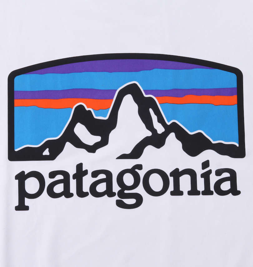 大きいサイズ メンズ patagonia (パタゴニア) 半袖Tシャツ プリント拡大