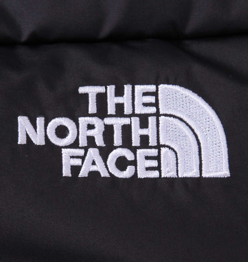 大きいサイズ メンズ THE NORTH FACE (ザ・ノース・フェイス) ダウンジャケット 刺繍