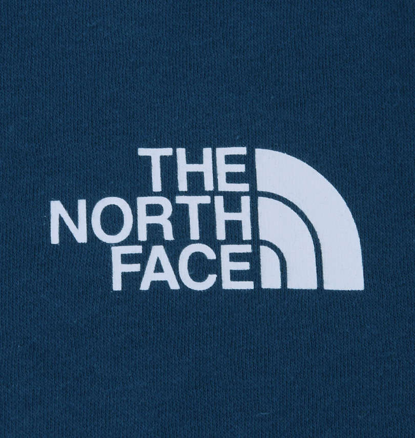 大きいサイズ メンズ THE NORTH FACE (ザ・ノース・フェイス) クルートレーナー 胸プリント