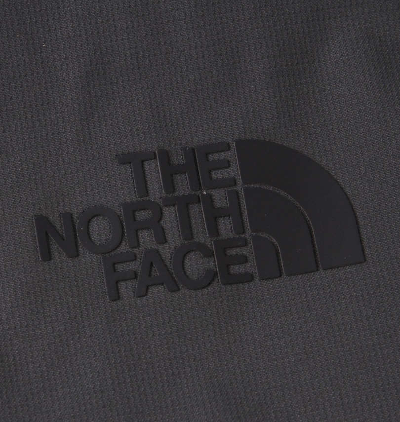 大きいサイズ メンズ THE NORTH FACE (ザ・ノース・フェイス) 中綿ジャケット プリント拡大