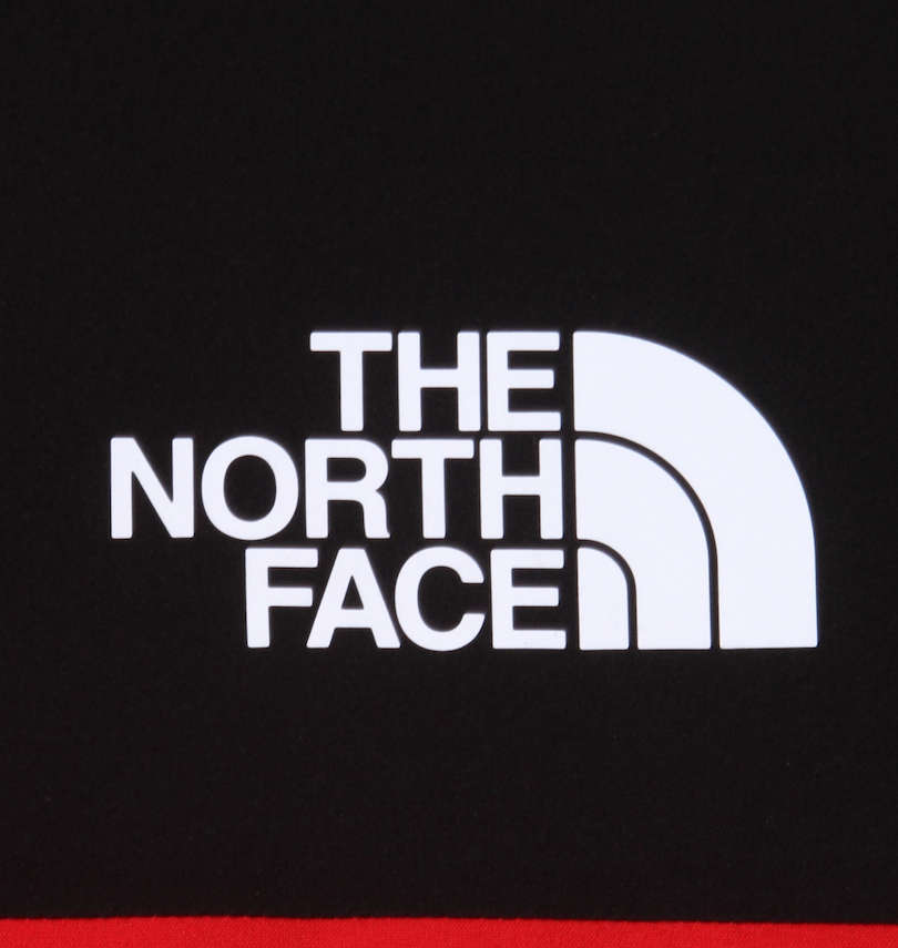 大きいサイズ メンズ THE NORTH FACE (ザ・ノース・フェイス) ストレッチウィンドジャケット プリント