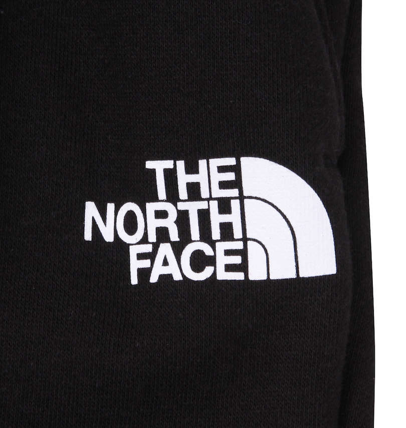 大きいサイズ メンズ THE NORTH FACE (ザ・ノース・フェイス) スウェットパンツ プリント