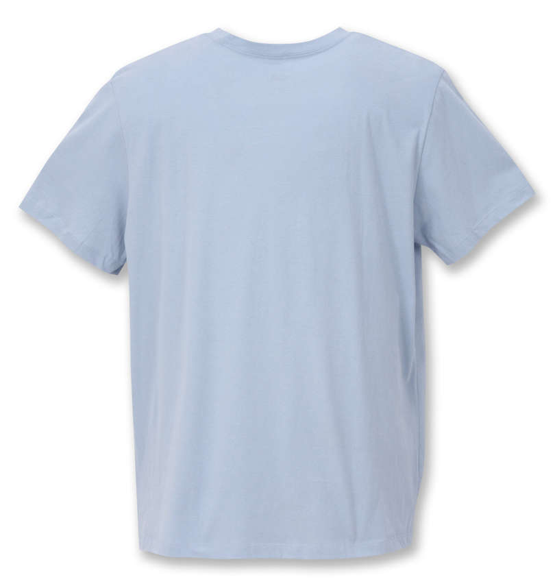大きいサイズ メンズ THE NORTH FACE (ザ・ノース・フェイス) 半袖Tシャツ バックスタイル