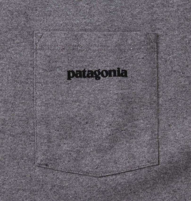 大きいサイズ メンズ PATAGONIA (パタゴニア) 半袖Tシャツ 胸ポケット