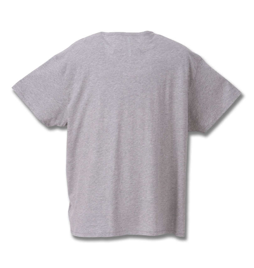 大きいサイズ メンズ CALVIN KLEIN (カルバンクライン) Tシャツ バックスタイル