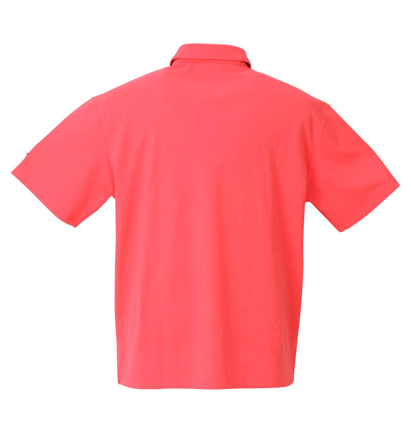 大きいサイズ メンズ LE COQ SPORTIF GOLF (ルコックスポルティフ　ゴルフ) ベーシック半袖シャツ バックスタイル