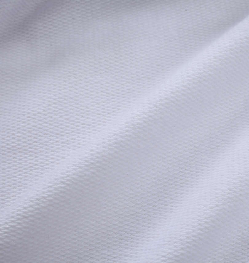 大きいサイズ メンズ DCSHOES (ディーシーシューズ) 22ST VERTICALプルパーカー
裏毛拡大