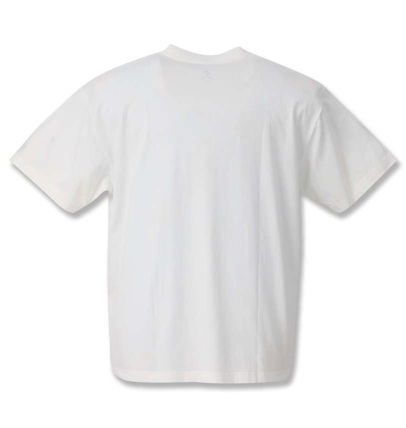 大きいサイズ メンズ OCEAN PACIFIC (オーシャンパシフィック) プリント半袖Tシャツ バックスタイル