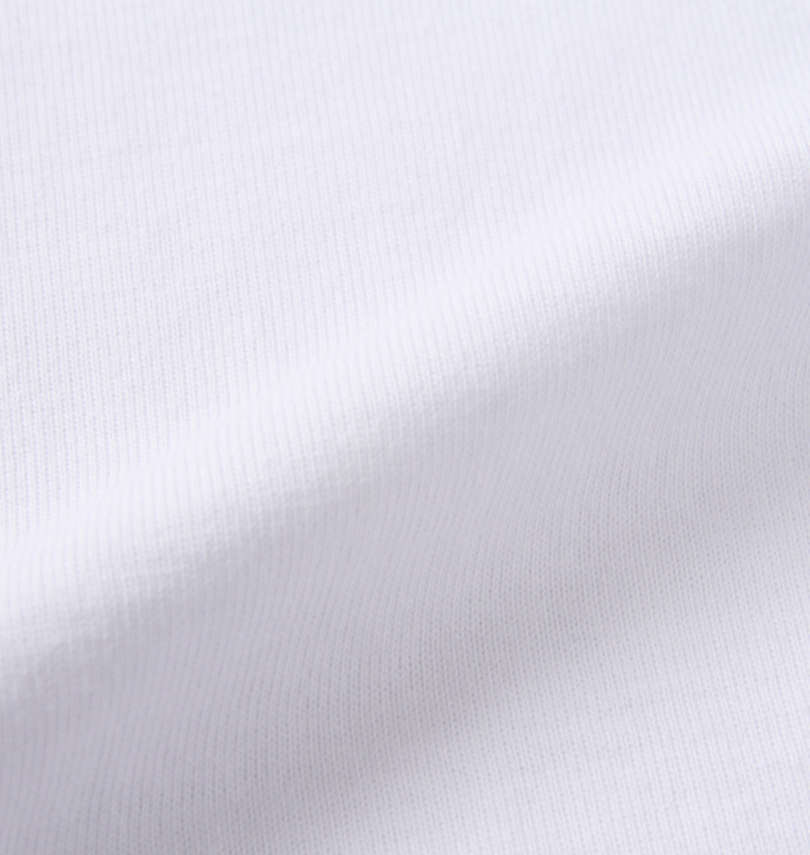 大きいサイズ メンズ 魂 (タマシイ) 相撲絵デザイン半袖Tシャツ 生地拡大