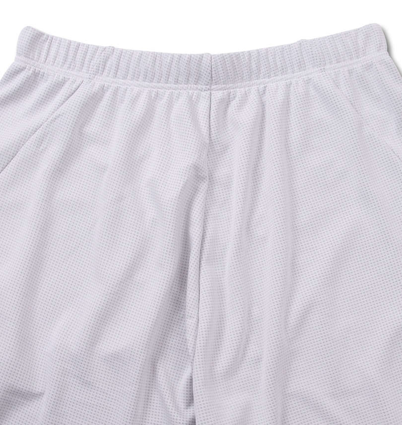 大きいサイズ メンズ DESCENTE (デサント) スクエアメッシュハーフパンツ
                        バックスタイル