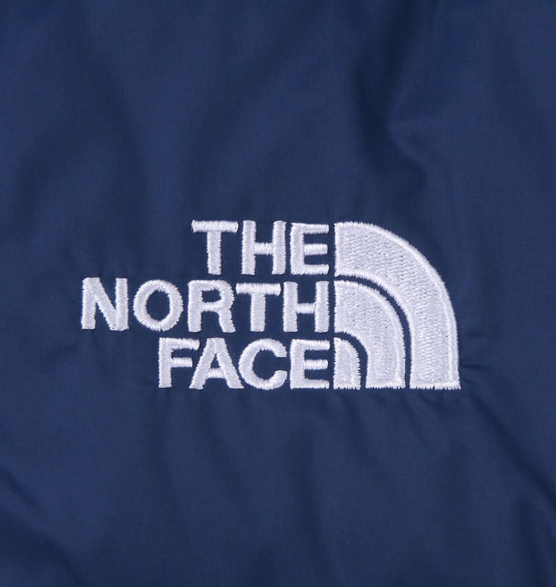 大きいサイズ メンズ THE NORTH FACE (ザ・ノース・フェイス) HYDRENALITE ダウンジャケット 刺繍