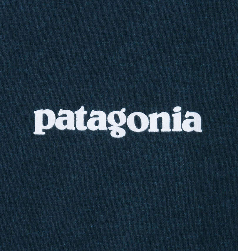 大きいサイズ メンズ PATAGONIA (パタゴニア) 長袖Tシャツ 