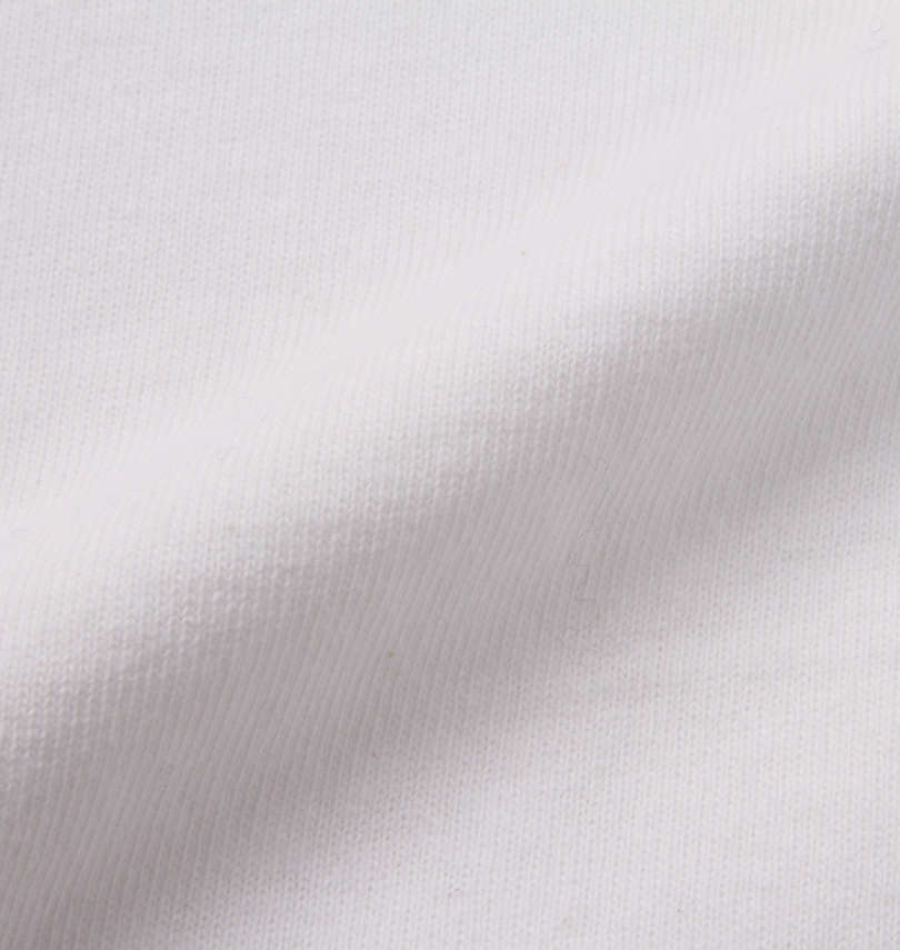 大きいサイズ メンズ LOONEY TUNES (ルーニーテューンズ) チェーン刺繍&プリント半袖Tシャツ 生地拡大