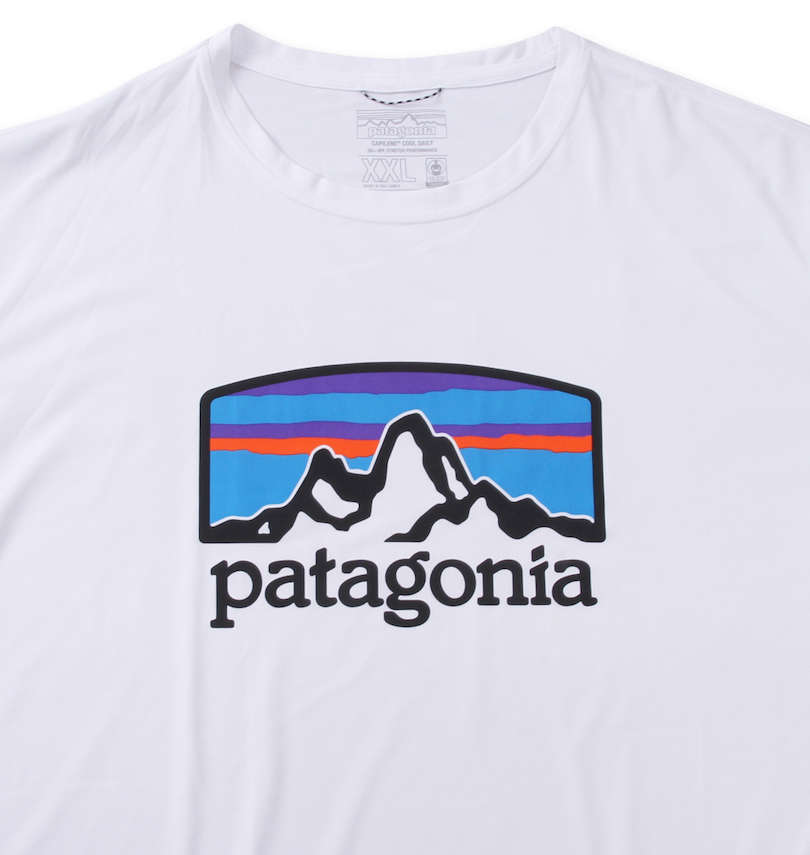 大きいサイズ メンズ patagonia (パタゴニア) 半袖Tシャツ フロントプリント